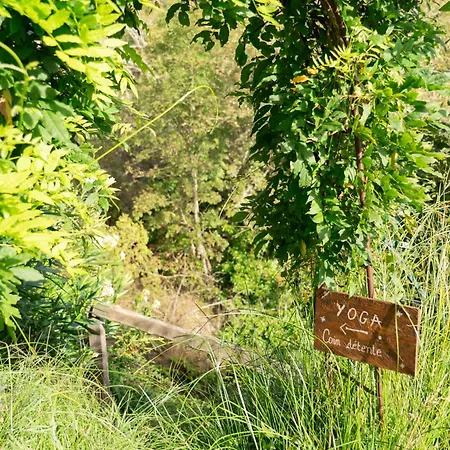 U Fiordalisu Hotel Bastelica